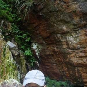 д��������